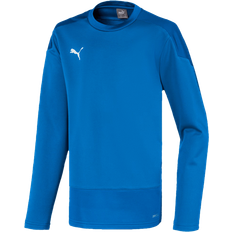 Puma Kid's TeamGOAL 23 Training Sweat - Electric Blue/LemonadeTeam Power Blue (656568-02)