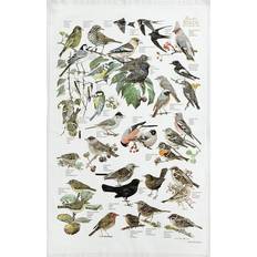 Havens fugle Koustrup & Co. Garden Birds Viskestykke Multifarve (70x48cm)