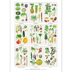 Koustrup & Co. Organic Veg Patch Circulation Plakat 42x59.4cm