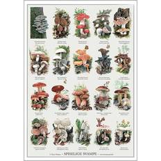 59.4 cm Plakater Koustrup & Co. Edible Mushrooms Plakat 42x59.4cm