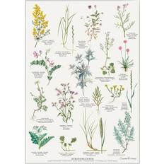 Blomster & Natur Plakater Koustrup & Co. Beach Plants Plakat 42x59.4cm