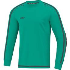 JAKO Striker 2.0 GK Jersey Men - Turquoise/Anthracite