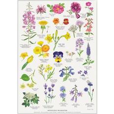 Blomster & Natur Plakater Koustrup & Co. Edible Flowers Plakat 42x60cm