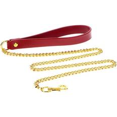 Bondage in Luxury Chain Leash
