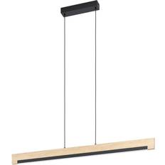 Eglo Camacho Pendel 110cm