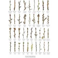 29.7 cm Plakater Koustrup & Co. Winter Branches Plakat 21x29.7cm