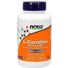 Now l carnitine Now Foods L-Carnitine Pure Powder 85g