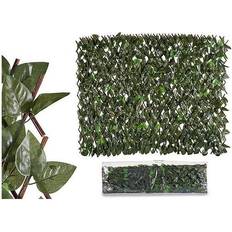 Ibergarden Dekorativ plante Grøn Plastik (200 x 4 x 100 cm)