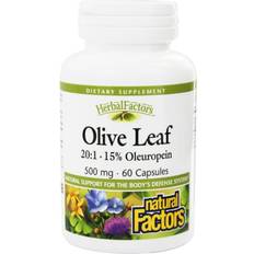 Vitamins & Supplements Natural Factors Olive Leaf Extract 500 mg 60 Capsules