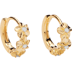 Aster Hoops - Gold/Blue