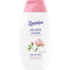Schampo Glans