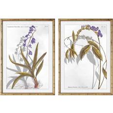 Multicolore Arts encadrés Dkd Home Decor Modern Botanical Plants 50 x 2 x 70 cm Set of 2 Art encadré