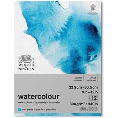 Carte per acquerello Winsor & Newton Classic Water Colour Pad Cold Press 23x31cm 300g 12 sheets