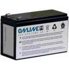 ONLINE USV-Systeme USV BCX3000RBP