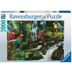 Klassische Puzzles Ravensburger Parrots in The Jungle 2000 Pieces