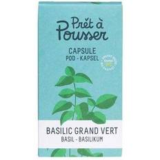 Graines d'herbes Pret a Pousser Lemon Basil