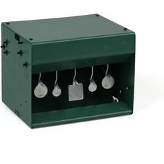 Pendulum Target