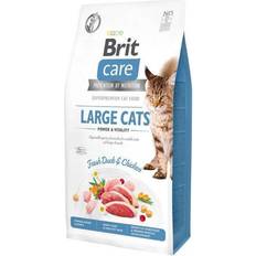 Brit Katzen Haustiere Brit Care Cat Grain-Free Large Cats Power and Vitality 2kg