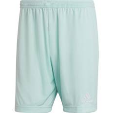 Adidas Entrada 22 Shorts Men - Clear Mint