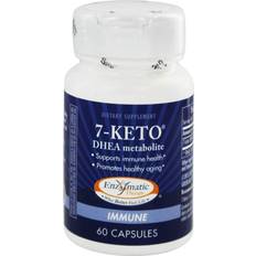 7 keto dhea Enzymatic Therapy 7-Keto DHEA Metabolite 60 Capsules