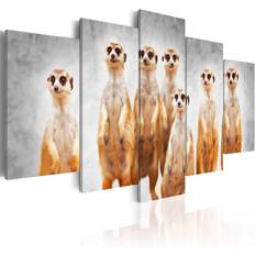 Arkiio Meerkats Billede 100x50cm