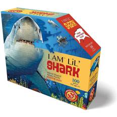 Madd Capp I am Lil' Shark 100 Pieces