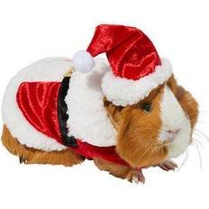 Pets Costumes Santa Claus Guinea Pig Costume