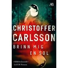 Brinn mig en sol (Häftad)