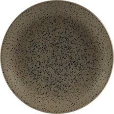 Caldera 6 Churchill Menu Shades Caldera Coupe Dinner Plate 20.5cm 6pcs