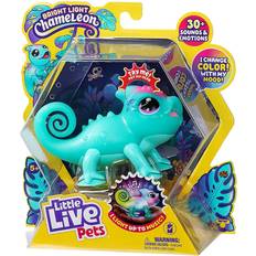 Moose Little Live Pets Bright Light Chameleon Sunny