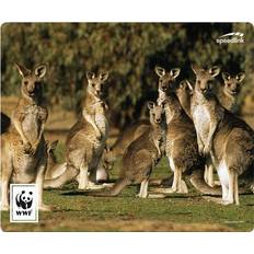 SL-620300 WWF8 Kangaroo