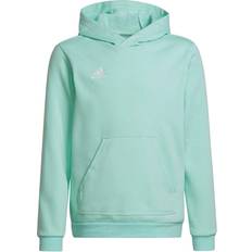 Adidas L Hoodies Adidas Entrada 22 Sweat Hoodie Kids - Clear Mint