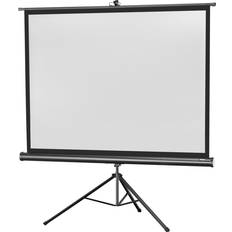 Celexon Ecran de projection sur pied Economy 244 x 183 cm