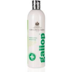 Pflege Carr & Day & Martin Gallop Medicated Shampoo 500ml