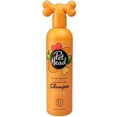 Ditch The Dirt Shampoo