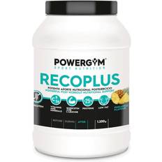 Powergym Recoplus Ananas 1200g