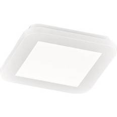 Trio Lighting Camillus loftlampe m/3-step-dæmp 17x17-hvid Loftplafond 17cm