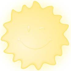 Sunny Smart