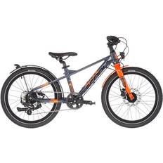 XXlite EVO 20 2022 