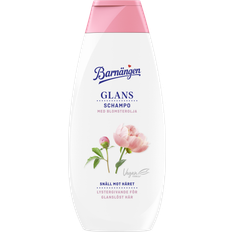 Schampo Glans