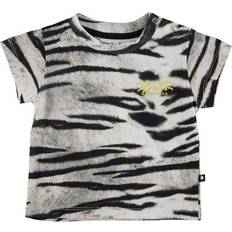 Molo 68 T-shirts Molo Emilio - Tiger White (6S22A204-6313)