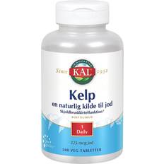 Kelp