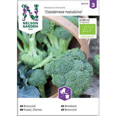 Kål Grøntsagsfrø Nelson Garden Broccoli Calabrese natalino