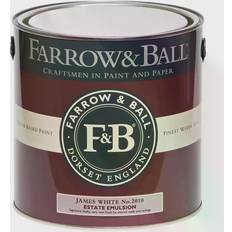 Farrow & Ball Estate No.2010 Wall Paint, Ceiling Paint James White 2.5L