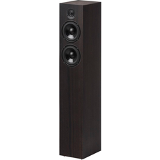 Speaker Box 10 DS2