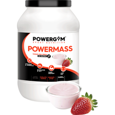 Zinco Aminoacidi Powergym PowerMass Yoghourt & Strawberries 3kg