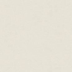A.S. Creation Estefan Cream Distressed Texture Wallpaper 20.9in x 396in x 0.025in Off White 20.9in x 396in x 0.025in