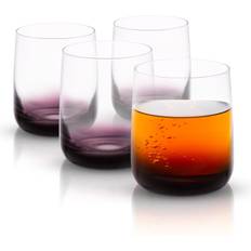 Dishwasher Safe Whiskey Glasses Joyjolt Black Swan Double Old Fashion Whiskey Glass 13.695fl oz 4