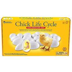 Stof Wetenschappelijke experimentenpakketten Learning Resources Chick Life Cycle Exploration Set