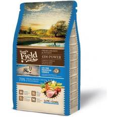 Sam's field 4300 Power Chicken & Potato 2.5kg